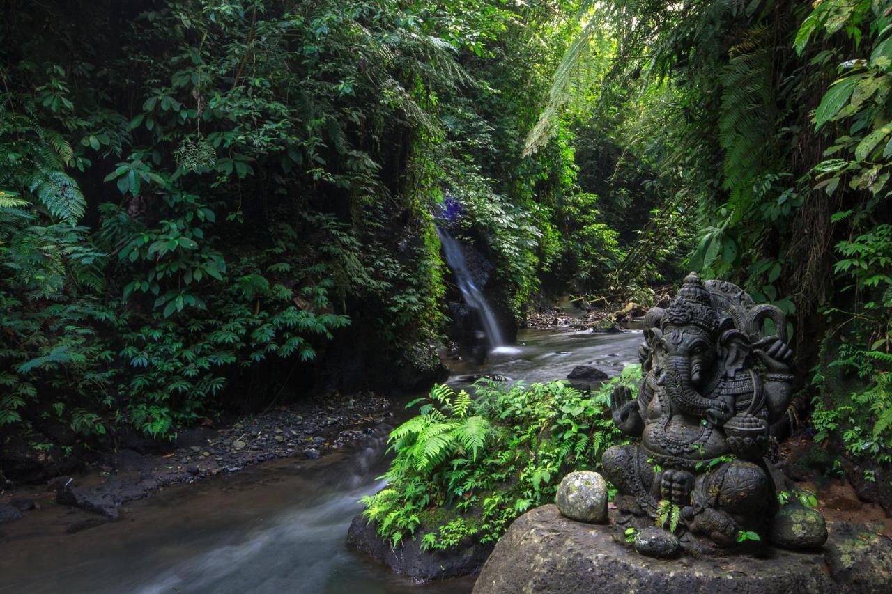 Bali Jungle Resort Tegallalang  Exterior foto